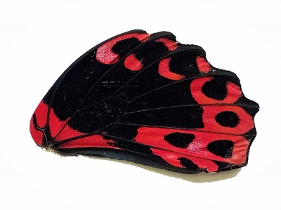 P RUMENZOVIA HIND WING[1]